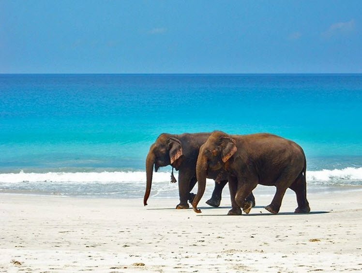 Talabaicha Island Wildlife Sanctuary